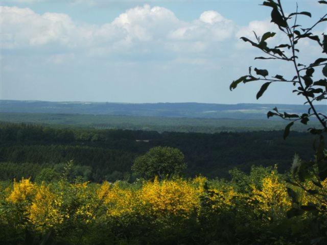Appartement Ideal Pres De Durbuy / Ideaal Appartement Nabij Durbuy / Ideal Apartment Near Durbuy Hotton Buitenkant foto
